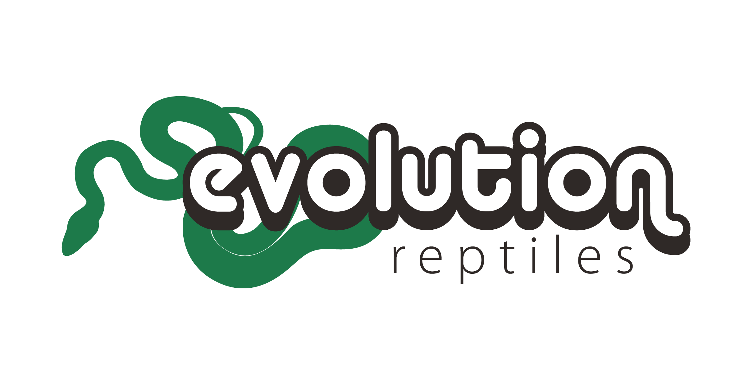 Reptile Boarding by Evolution Reptiles 